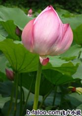 开云kaiyun:产品4